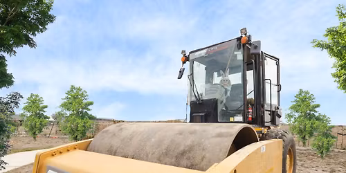 First Look - 8 new display homes, touch-a-truck, acai bowls, free BBQ, coffee & more