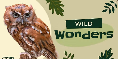 Summer Reading: Wild Wonders