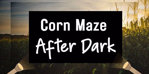 Corn Maze After Dark