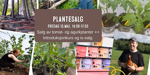  Plantesalg p\u00e5 g\u00e5rden \u2013 fredag 15. mai kl. 14\u201317 