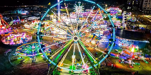 Parking Forever Elvis 73