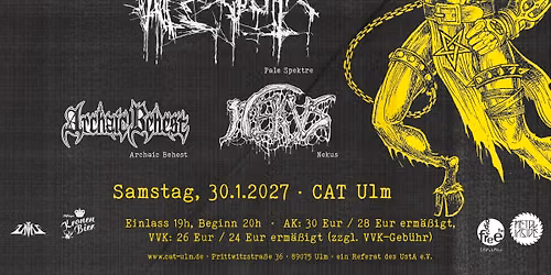 CATacombs Of Metal XL