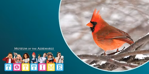 Tot Time: Birds of a Feather