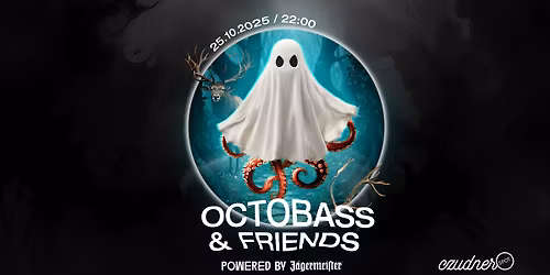 OCTOBASS X FRIENDS CzudnerSPOT | Visuals: Void by Saskia