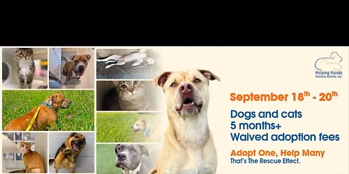 ASPCA\u2019s Rescue Effect #4 Event