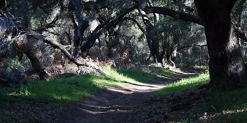 Explore and Restore: A volunteer restoration event on Wills Canyon Trail