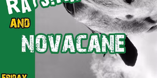 Punk Rock At The Blossoms