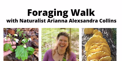 Foraging Walk at The Clark