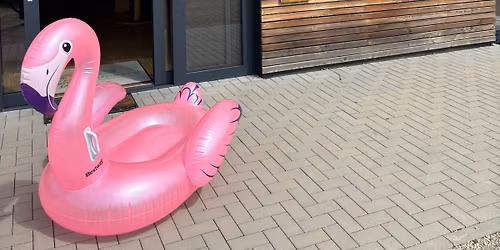 Flamingo Flash-Mob 2026