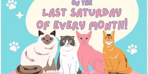 All4Cats Adoption Event