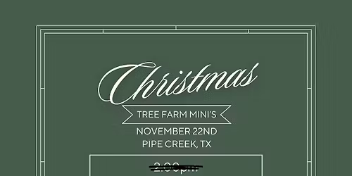 Christmas Tree Farm Mini’s