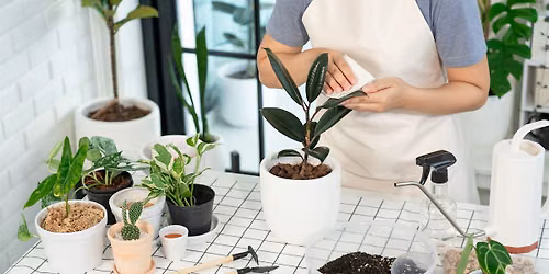 Houseplant 101 Workshop