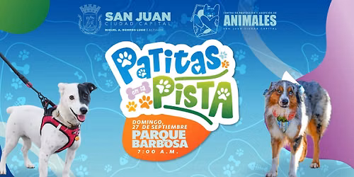 Patitas en la Pista- 3k canino
