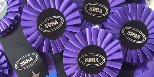 SDDA Trial Adv & Exc 