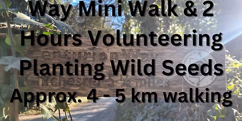 18th Nov The New Centurion Way Mini Walk & 2 Hours Volunteering on the Centurion Way - Wildflowers