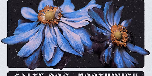 AIRTIGHT \/\/ HEAD CLOUD