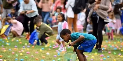 Easter Egg Hunt \ud83e\udd5a\ud83d\udc23\ud83d\udc30\ud83e\udd55
