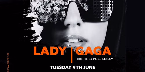 Lady Gaga Show 