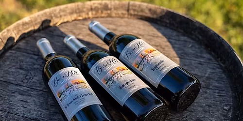 Parking Double Vision HTX - Foreigner Tribute Band