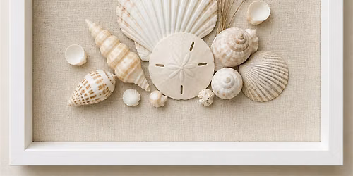 Sea Shell Shadowbox Art Class