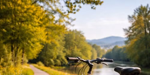 Greenway Birding & Bike Tour