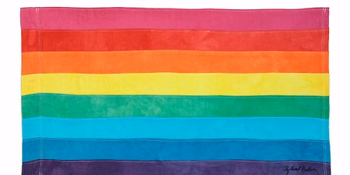 Pride Flag Talk with Curator Diane Wright