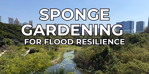 Sponge Gardening for Flood Resilience - Albert-Eden