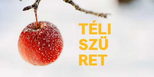 T\u00e9li sz\u00fcret | Winter Harvest