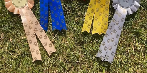 Fun Dog Show @ Yaxley Vintage Festival