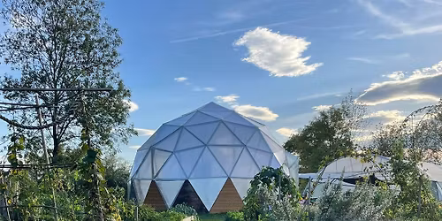 Vente de plants de l\u00e9gumes et autres choses comestibles... 