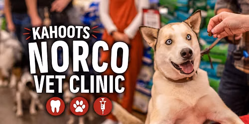 Vet Clinic & Teeth Cleaning at KAHOOTS Norco