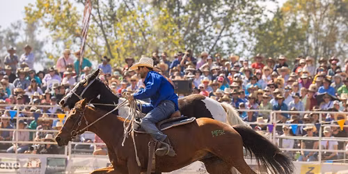 THE MAN FROM SNOWY RIVER BUSH FESTIVAL
