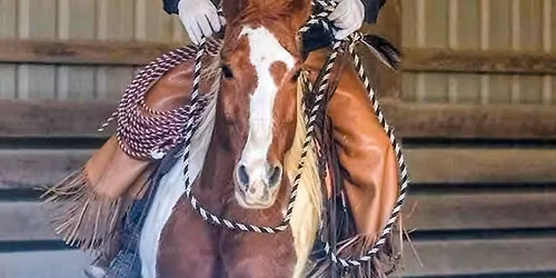 2-day Horsemanship with Jason Drass
