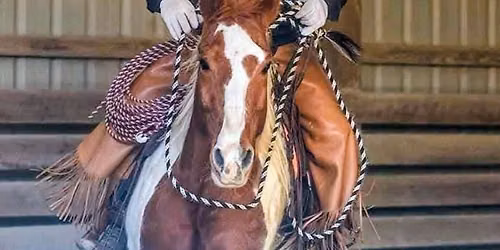 2-day Horsemanship with Jason Drass
