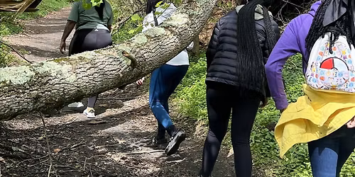 Mindfulness Walk