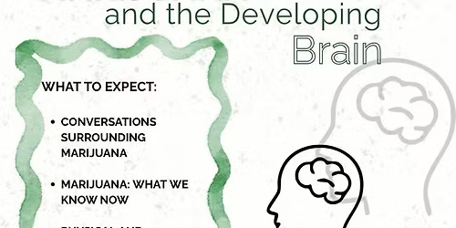 Marijuana and the Developing Brain