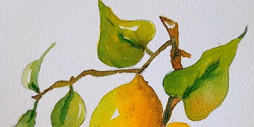 Beginner's Watercolour Class