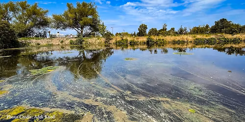 The River Talks - Why is the Water Green?