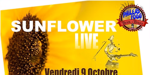 Concert Sun Flower