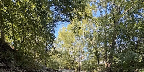 Creekside Fossil & Rock Walk