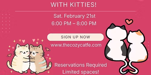 Love Song Singo with Kitties 