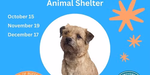 Meet Adoptable Dogs at 7 Warren