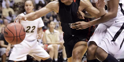 UAlbany Great Danes at South Carolina Gamecocks Womens Basketball