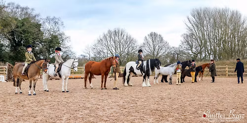 Showing Competition - Summer Showing Series Show 5