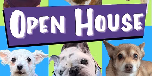 Miri\u2019s Haven Open House
