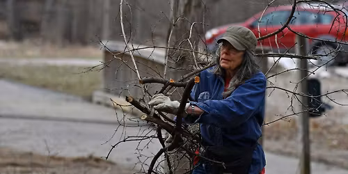 Volunteer Morning: Monee Reservoir