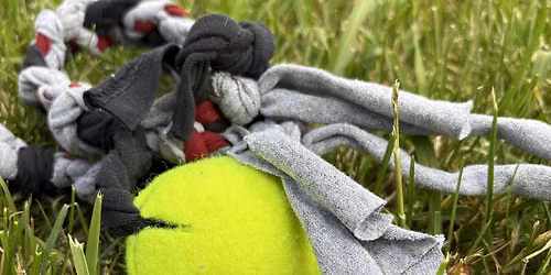 Wagging Tails Workshop - Make Your Own Dog Toy