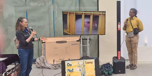NICE Video Outreach at Santa Monica Promenade