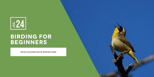Birding for Beginners