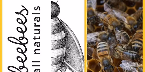 A Journey Around the Globe: Taste and Explore Varietal Honeys from Around the World